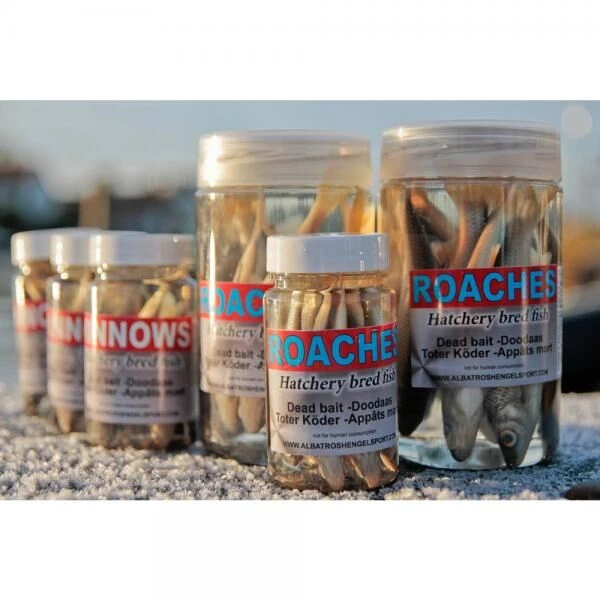 Albatros Aasvisjes Voorn 4 Albatros Aasvisjes Voorn - Afbeelding 2