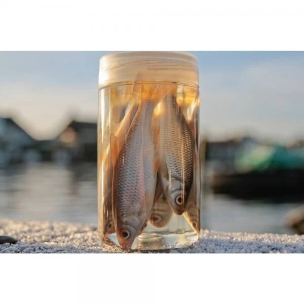 Albatros Aasvisjes Voorn 5 Albatros Aasvisjes Voorn - Afbeelding 3