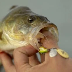 Berkley Pulse Spintail 5g -SHIMA VIS Winkel 1432097Berkley Pulse Spintail 5g 7 1