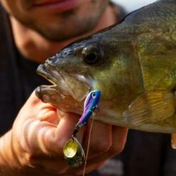 Berkley Pulse Spintail 14g -SHIMA VIS Winkel 1432868Berkley Pulse Spintail 14g 9