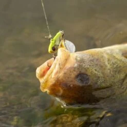 Berkley Pulse Spintail 9g -SHIMA VIS Winkel 1432892Berkley Pulse Spintail 9g 6