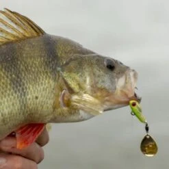 Berkley Pulse Spintail 9g -SHIMA VIS Winkel 1432894Berkley Pulse Spintail 9g 8