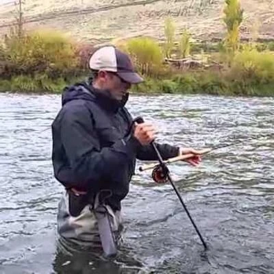 Scierra Wading Stock 5 Scierra Wading Stock - Afbeelding 3