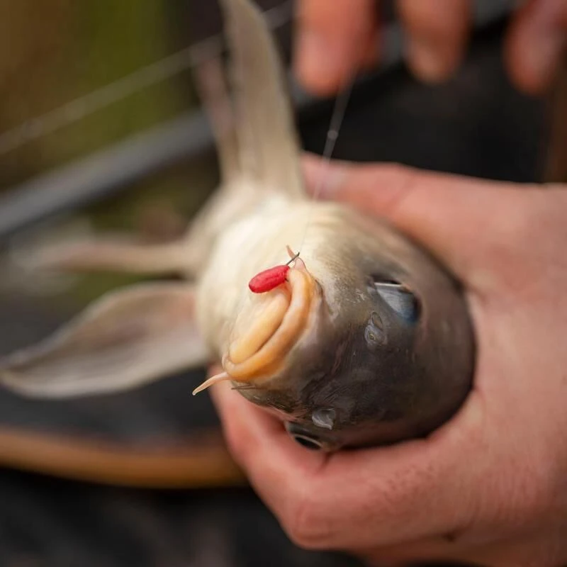 Fjuka 2in1 Pellets Red 5 Fjuka 2in1 Pellets Red - Afbeelding 3