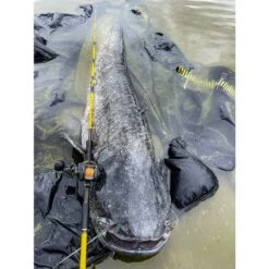 Black Cat Cast 301LH Reel 16 Black Cat Cast 301LH Reel -SHIMA VIS Winkel 4017421Black Cat Cast 301LH Reel 6