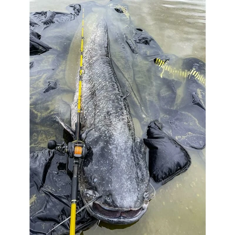 Black Cat Cast 301LH Reel 9 Black Cat Cast 301LH Reel - Afbeelding 7