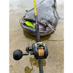 Black Cat Cast 301LH Reel 17 Black Cat Cast 301LH Reel -SHIMA VIS Winkel 4017422Black Cat Cast 301LH Reel 7