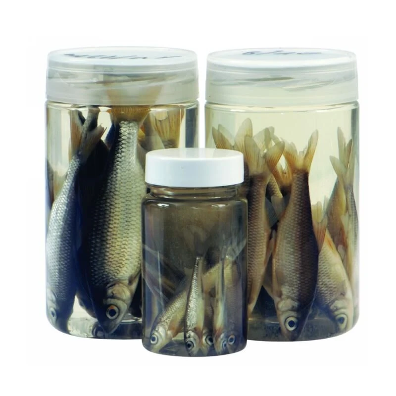 Albatros Aasvisjes Voorn 3 Albatros Aasvisjes Voorn