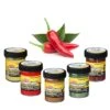 Berkley Powerbait Trout Bait Spices -SHIMA VIS Winkel 4322275Berkley Powerbait Trout Bait Spices 1