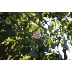 Nash Entity 12ft 3.00lbs Full Shrink 11 Nash Entity 12ft 3.00lbs Full Shrink -SHIMA VIS Winkel 4324471Nash Entity 12ft 3 00lbs Full Shrink 2